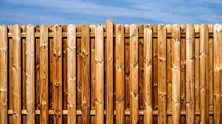 The Dangers of Excessive Moisture for Wood Fences